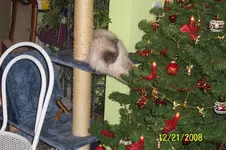 100_1284.webp