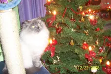100_1287.webp