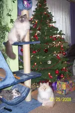 100_1300.webp