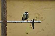 comp_DSC08470 (2).webp