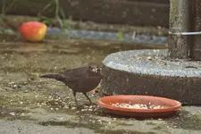 comp_DSC08472 (2).webp