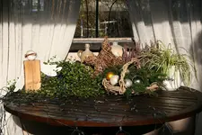 Dez.1515.webp