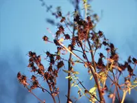 image001.webp