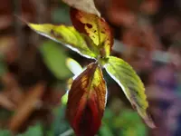 image002.webp