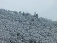 DSCF4398 (2).webp