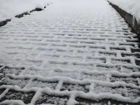 DSCF4394.webp