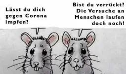 Maus.webp