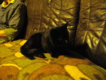 IMGP0655.JPG