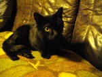 IMGP0656.JPG