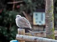 image003.webp