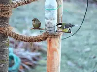 image004.webp