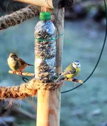 image005.webp