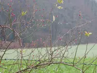 P1020224.webp