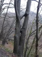 P1020233.webp