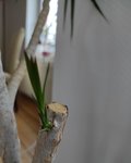 IMG_20201215_142914.jpg