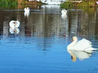 DSCF4428 (2).webp