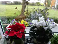 DSC01418.webp