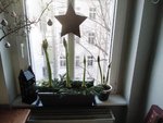 20201217_143414.jpg