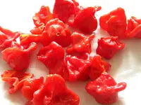 DSCN9927.webp