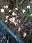 DSC06110.jpg