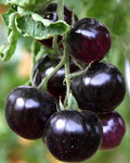 IMG_5314 b 2.jpg
