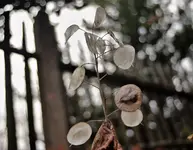 image006.webp
