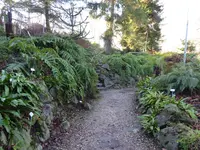 P1020253Blick ins Farntal.JPG