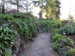 P1020253Blick ins Farntal.JPG