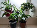 20201219_153050.jpg