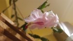 20201125_164255.jpg