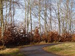 6F5490BB-759C-4AC8-BCA3-FBDB27D0FF39.jpeg