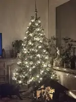 IMG_20201220_203612.webp IMG_20201220_203612.webp