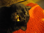 IMGP0706.JPG