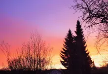 DSCF4437 (2).webp