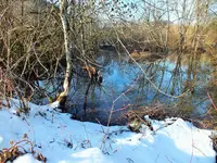 DSCF4414 (2).webp