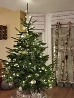 IMG-20201224-WA0000.webp