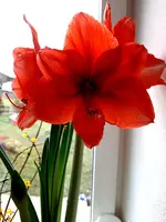 20201224_145307.jpg