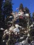 708538D9-E353-4318-97CF-F19EA2647D13.jpeg