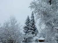 DSCF4444 (2).webp
