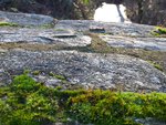 20201225_122425.jpg