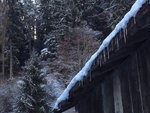 5F024089-84A0-4EE9-9549-3A52975D03CD.jpeg