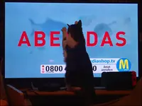 c030.webp