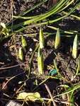 20201225_124820.jpg