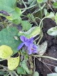 20201225_124936.jpg