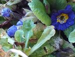 20201225_125056.jpg