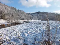 DSCF4461 (2).webp