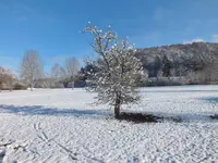 DSCF4462.webp