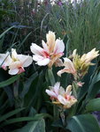 20200815_202347.jpg