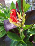 20200805_123822.jpg