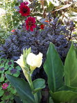 20200823_105100.jpg